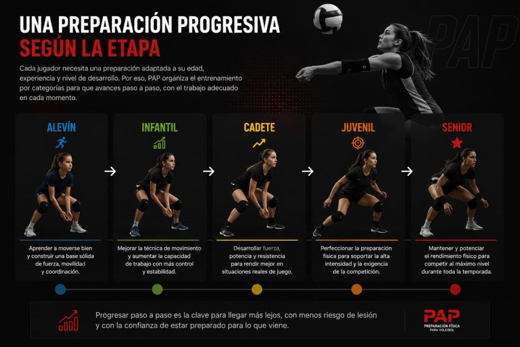 Progresión de la preparación física para voleibol desde Alevín hasta Senior en el sistema PAP